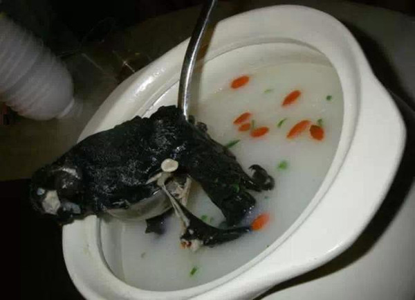 ͿԳԵӵζͦ,ϲڰ